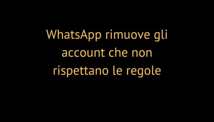 WhatsApp rimuove gli account che non rispettano le regole