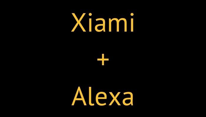 xiaomi alexa collegamento